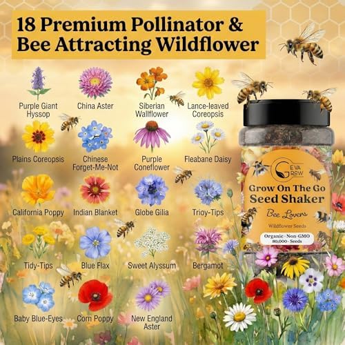 Mini Wildflower Seed Shaker - Save The Bees Seed Mix, by GevaGrow | 80,000+ Seeds | Pollinator & Bee Attracting Flower Seeds Bulk for Planting in Pots & Outdoor Gardens | 2 Ounce - Image 4