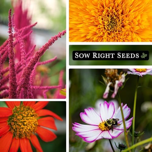 Sow Right Seeds - Large Flower Farm Seed Collection for Planting Garden - Image 3