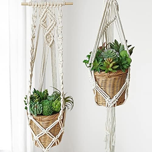 Winlyn 20 Pcs Assorted Artificial Succulents Plants Unpotted Small Green Cactus Echeveria Air Plant Picks Fake Succulents Bulk for Succulent Garden Wreath Floral Arrangement Indoor Outdoor Home Decor - Image 3