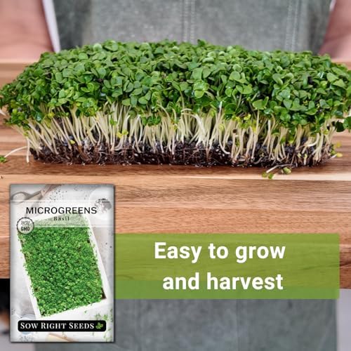 Sow Right Seeds - Basil Microgreen Seed for Growing Sweet Micro Greens - Image 5