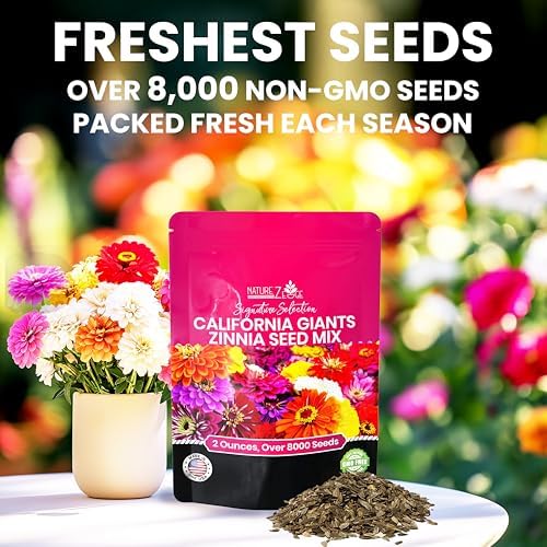 NatureZ Edge Zinnia Seeds for 2026 Planting Outdoors, Over 8250 Flower Seeds, 2 Oz, Non GMO Made in USA, Bulk Semillas De Flores para Sembrar, California Giants, Easy to Grow Zinnia Seed Mix - Image 2