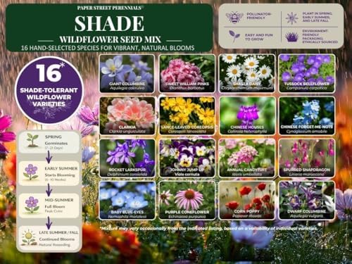 Shade Wildflower Seed Mix – 16 Annual & Perennial Species, Wildflowers for Shade, Pollinator-Friendly, Non-GMO Seeds, 1/2lb Covers Up to 1,600 Sq Ft - Image 3