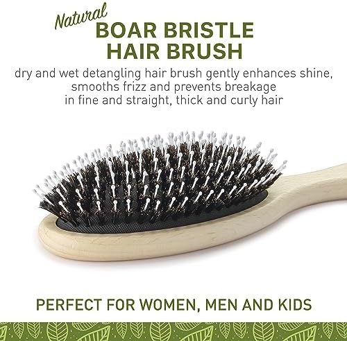 Natural Boar Bristle Hair Brush for Women, Men, Kids; Dry and Wet Detangling Hair Brush Gently Enhances Shine, Smooths Frizz and Prevents Breakage in Fine and Straight, Thick and Curly Hair (oval) - Image 2