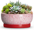 Succulent Pots 13 Inch, Ceramic Bonsai Tree Pots, Texture Red by Wliror