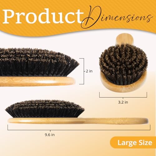 Belula 100% Boar Bristle Hair Brush Set, Large, for Thin & Fine Hair - Image 2