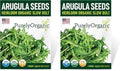 Organic Arugula Seeds (Slow Bolt) - Approx 400 Seeds - USDA Organic, Non-GMO, Open Pollinated, Heirloom, USA Origin (Pack of 2) by Purely+Organic+Products+LLC