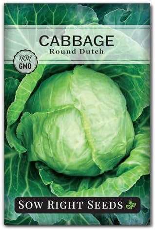 Sow Right Seeds - Early Round Dutch Cabbage Seed for Planting Vegetables by SowRightSeeds