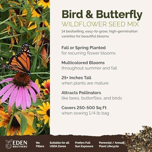 Eden Brothers Bird & Butterfly Wildflower Mixed Seeds for Planting, 1/4 lb, 120,000+ Seeds with Cosmos, Indian Blanket | Attracts Pollinators, Plant in Spring or Fall, Zones 3, 4, 5, 6, 7, 8, 9, 10 - Image 2