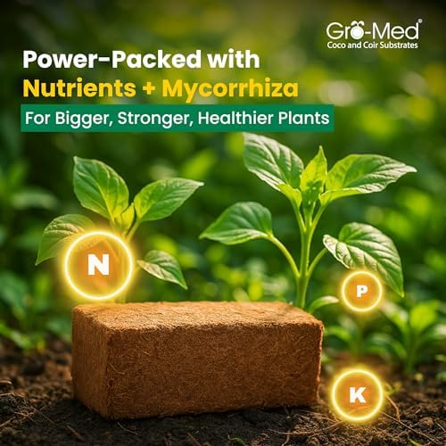 Gro-Med Organic Coco Coir Bricks (2 Pack) - Enriched Coco Coir for Plants - Image 4
