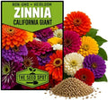 50+ Zinnia Seeds for Planting - Heirloom Non-GMO by Axel%27s+Garden+Seeds