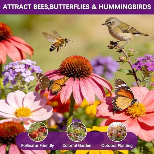 Wildflower Seeds Mix 1/2 lb, 19830+ Seeds Perennial& Annual 36 Varieties Flower Seeds for Planting，Non-GMO Heirloom Bulk Wild Flower Seeds for Indoor & Outdoors, FlowerSeed Packets for Home Garden - Image 4
