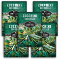 Cocozelle Zucchini Seeds for Planting - 5 Packs by SurvivalGardenSeeds