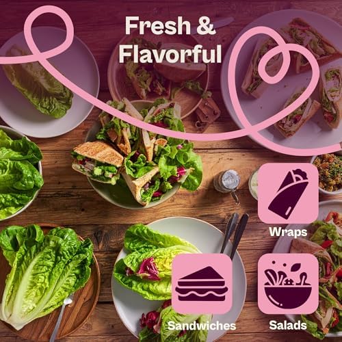 SVI 3750 Parris Island Cos Romaine Lettuce Seeds (Lactuca Sativa) – Green Leaf Lettuce Romaine Seed Packets – Disease Resistant, Heirloom Vegetable Seeds for Outdoor Vegetable Garden - Image 4