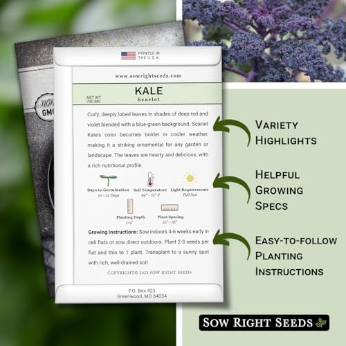 Sow Right Seeds - Scarlet Kale Seed for Planting Outdoor Vegetable Garden - Image 2