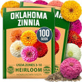 HOME GROWN Oklahoma Zinnia Seeds, 100 Seeds, Zinnia elegans by HOMEGROWN