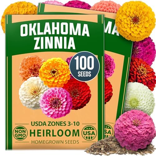HOME GROWN Oklahoma Zinnia Seeds, 100 Seeds, Zinnia elegans by HOMEGROWN