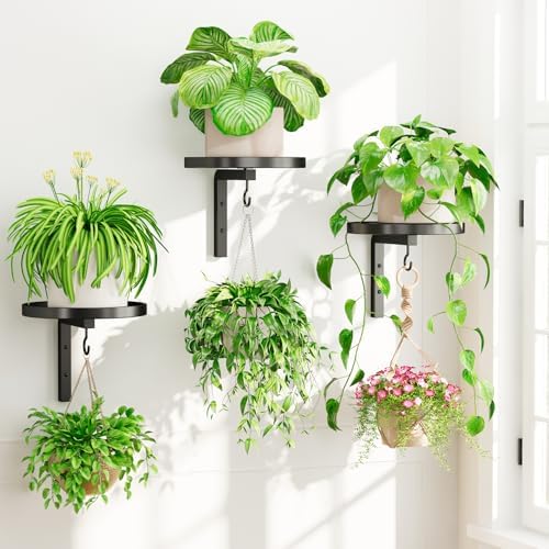 Plant Wall Hanger Holder Set of 3 for Indoor Outdoor, Black by iDavosicly