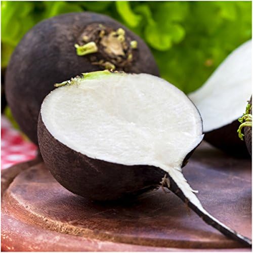 Seed Needs Radish Seeds Variety Pack of 6 Non-GMO & Heirloom Root Vegetable - Image 2