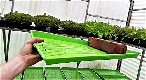 Bootstrap Farmer Extra Strength 1020 Trays | Green | 30 Trays with Holes - Image 4