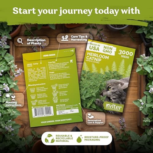 3,000 Catnip Heirloom Herb Seeds for Planting, Nepeta Cataria - Image 2