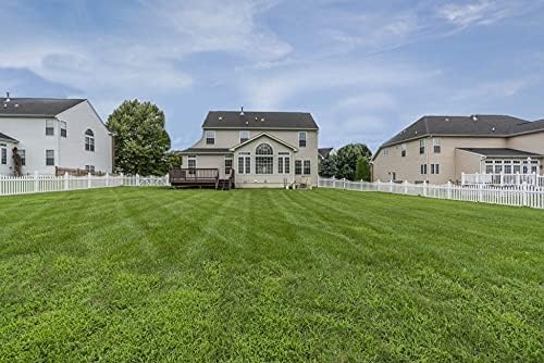 Contractor’s Grass Seed Blend by Eretz (5lb) - Choose Size! Willamette Valley, Oregon Grown. Premium, Number 1 Seeds Only! No Weed Seeds or Fillers - Image 3