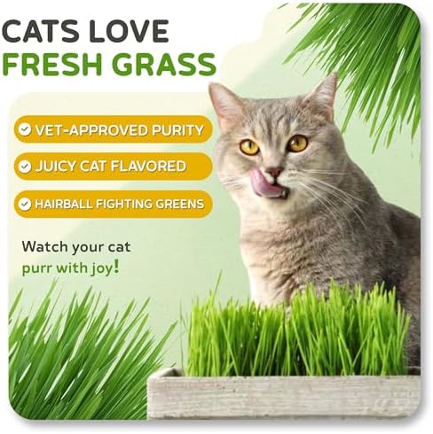 Todd's Seeds Cat Grass Seeds for Indoor Cats, 1lb Wheat Grass Seeds - Image 5