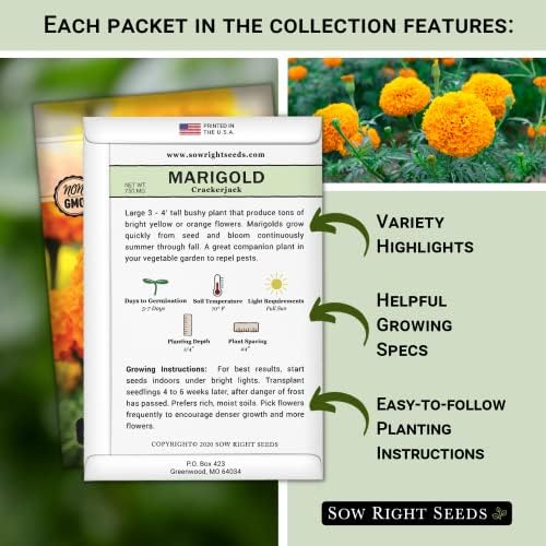 Sow Right Seeds - Annual Flower Seed Collection for Planting Home Garden - Image 2