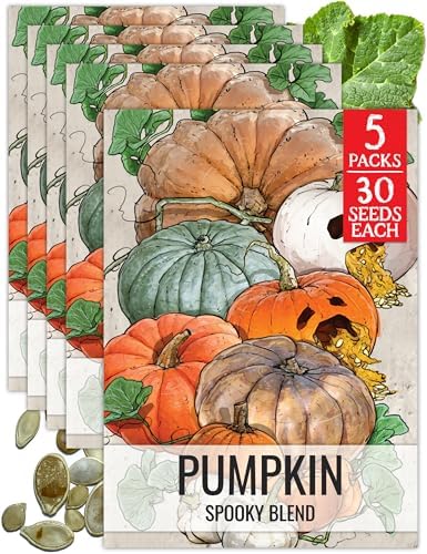 Seed Needs Spooky Blend Pumpkin Seeds to Plant Vegetables - 5 Packs by SeedNeeds