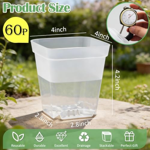 RooTrimmer 60 Pcs Clear Square Nursery Pots 4 Inch, Reusable Seedling Pots with Drainage Holes, Transparent Small Plant Potting Pot Containers for Seedlings Microgreens, Flowers, Indoor Gardening - Image 3