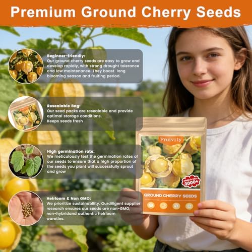 3000+ Ground Cherry Seeds for Planting, Vegetable Garden Heirloom Seeds - Image 7