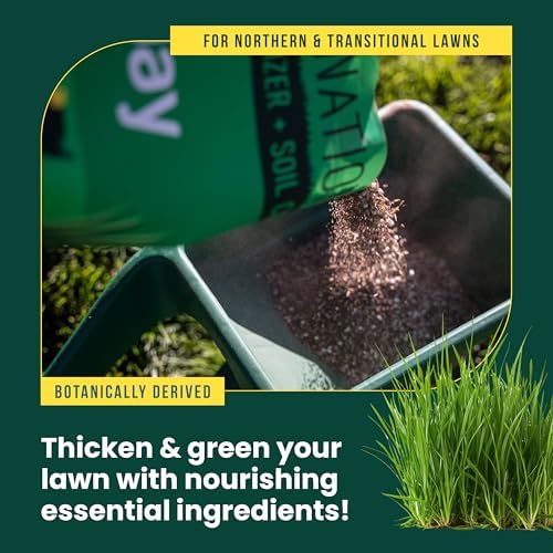 Sunday Sun & Shade Grass Seed + Lawn Fertilizer, 2-Pack - Image 3