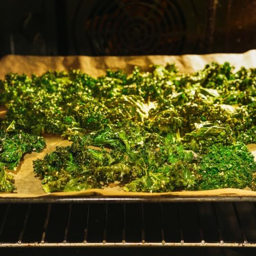 960+ Dwarf Kale Seeds for Planting -Heirloom Non GMO - Image 4