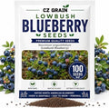 Lowbush Blueberry Seeds for Planting | Native Berry Shrub | 100 Seeds by CZGrain
