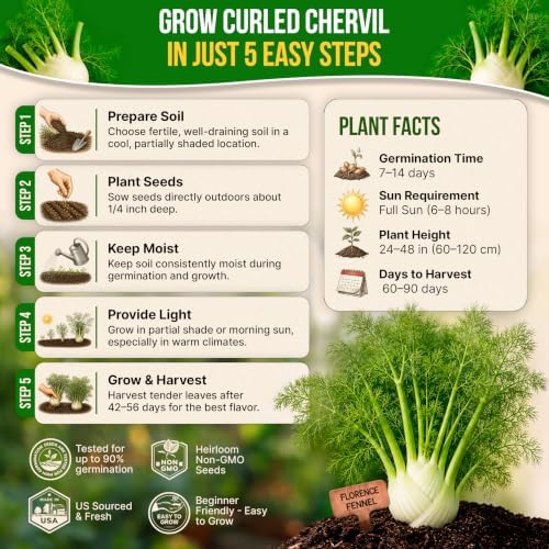 Fennel Florence Seeds Pack 1.25 G - Over 360 Non-GMO Heirloom Fennel Seeds for Planting Herbs in Individual Seed Packet - Image 6