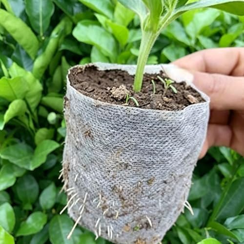 DGZZI 100PCS 12x12cm Biodegradable Non Woven Seedling Bags Planting Containers Suitable for Vegetables Flowers Fruit Trees Seedlings - Image 5