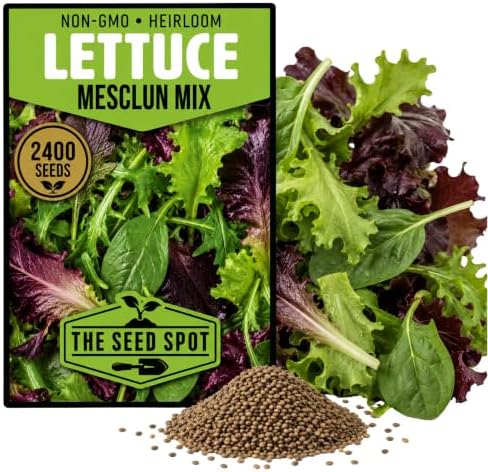 2400+ Lettuce Mix Seeds for Planting - Heirloom Non GMO by Unknown