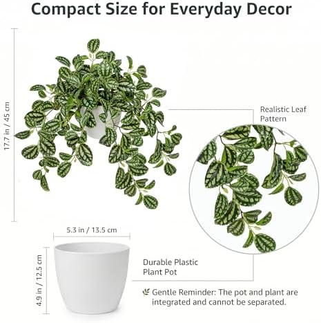 Briful Faux Plant Indoor, 17.7" Artificial Watermelon Peperomia Trailing Plant in White Plastic Pot, Realistic Fake Cascading Greenery for Cabinet Shelf Bathroom Office Table Home Kitchen Decor - Image 2