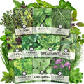 Herb Seeds | 10 Individual Packs | 2026 Season | Non-GMO | Mint, Parsley, Basil, Thyme & More! | for Planting Indoor & Outdoor | by Family Sown by FamilySown