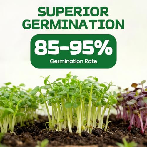 Groundio 40,000+ Heirloom Seeds Kit, 37 Vegetable Seeds Individual Pack - Non GMO for Planting Vegetables, Fruit and Herbs, Outdoor Garden Seeds for Indoor & Outdoor Garden Planting - Image 4