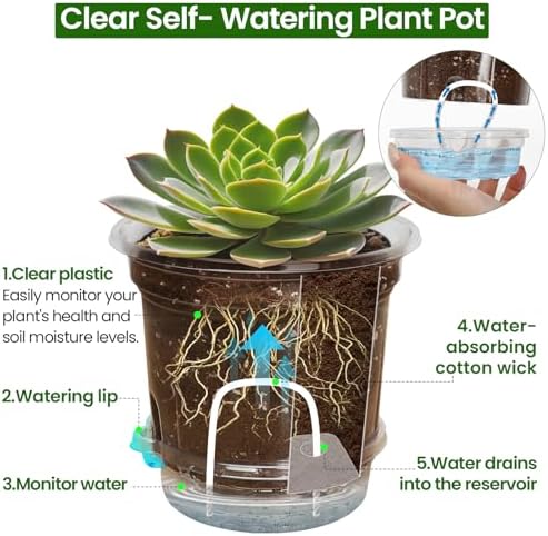 Bluepro Self Watering Pots for Indoor Plants, 6.5 Inch, 12-Pack - Image 4