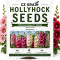 Hollyhock Flower Seeds for Planting | 100 Seeds | Tall Mixed Color Blooms by CZGrain