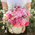 Eden Brothers Ranunculus Bulbs - Pink Confetti Mix by EdenBrothers