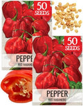 Seed Needs Red Habanero Hot Pepper Seeds to Plant Vegetables - 2 Packs by SeedNeeds