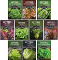 Lettuce Seeds for Planting | 10 Heirloom Lettuces Collection by SurvivalGardenSeeds