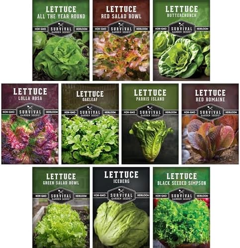 Lettuce Seeds for Planting | 10 Heirloom Lettuces Collection by SurvivalGardenSeeds
