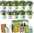 47 PCS Herb Garden Seeds Starter Kit, 10 Non-GMO Culinary Herb Seeds with White Pots & Planters for Windowsill, Herb Growing Kit Indoor & Outdoor, Unique Herb Garden Gift Set for Gardening Lovers by DESAIGarden