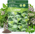 2300 Catnip Seeds for Planting Indoors & Outdoors - Premium Non-GMO Herb Cat Nip Plant Seeds, High Germination Rate - Grow Fresh Cat Grass by PLANTMEW