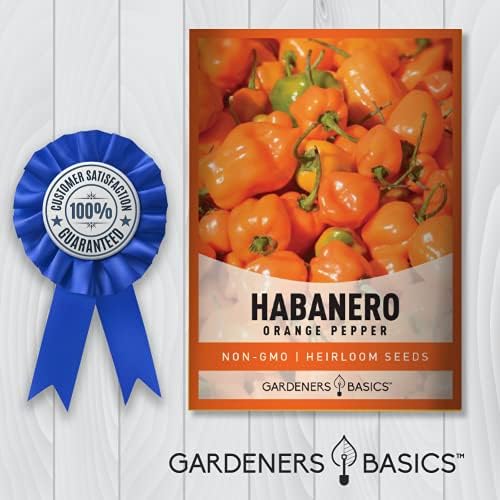 Gardeners Basics, Orange Habanero Pepper Seeds for Planting Heirloom Non-GMO Hot Habanero Peppers Plant Seeds for Home Garden Vegetables Makes a Great Gift for Gardeners - Image 5