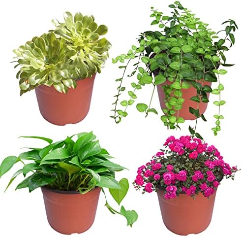 HOSTIC 7.4 Inch Nursery Pot Seedling Pot Plant Container Seed Starting Pots Multipurpose Plastic Pots 100 Packs - Image 4