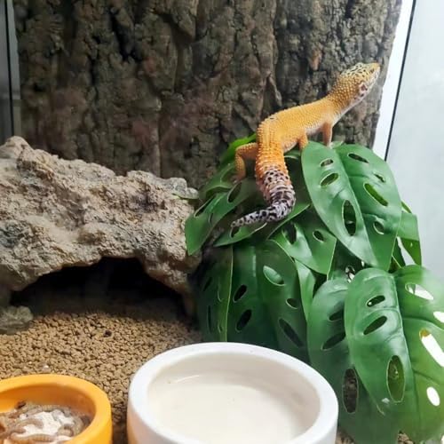 Fake Reptile Plants for Terrarium,Hanging Plant with Suction Cup - Image 5